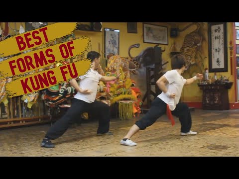 TOP 5 KUNG FU STYLES & THEIR SIGNATURE FORMS