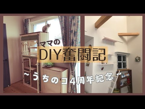 【うちのコ4周年記念】ねこDIYのご紹介と子猫ロイさま