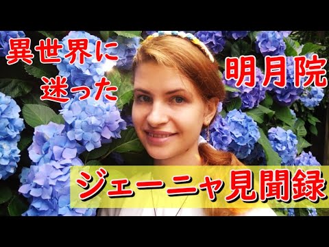 【鎌倉観光】北鎌倉にある明月院の紫陽花が最高だった！