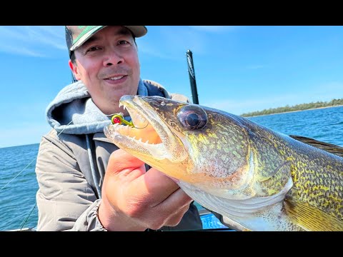 NEW Sneaky Walleye Color for Jig Fishing (ft. Tom Huynh)