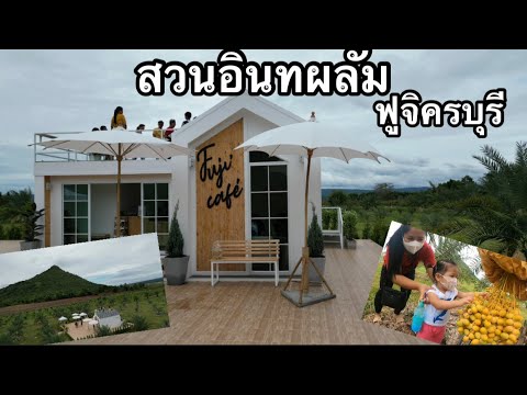 สวนอินทผลัม ฟูจิ ครบุรีและคาเฟ่ แหล่งท่องเที่ยว ไกล้กันมี หาดจอมทอง วักเขาจอมทอง เขื่อนมูลบน อื่นๆ