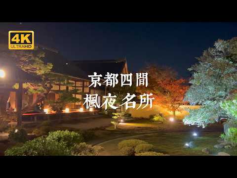 【Kyoto Solo Trip】More Charming at Night! Exploring the Allure of Autumn Leaves in Kyoto After Dusk