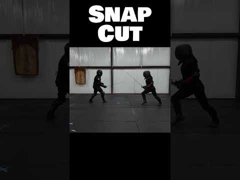 Snap Cut: lightning fast rapier attack #sword #martialarts #hema