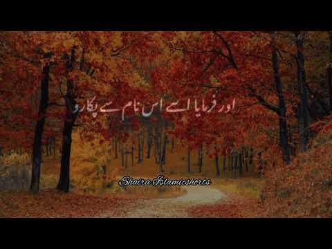 Huzoor 'ﷺ' Farmate Hai 🥀 | Islamic WhatsApp Status | 💖