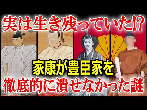 なぜ家康は豊臣家を根絶やしにしたかったのか？○○に密かに流れる豊臣の血とは？