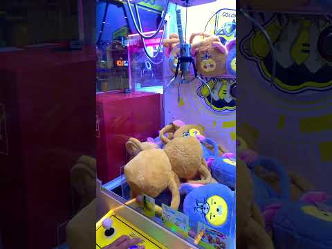 Challenge Day 1 : Catch a doll 1 time/day  #shorts #subscribe #share #viral #thailand #bear #teddy