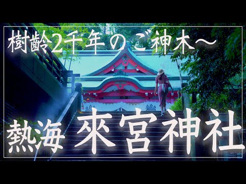 【熱海】來宮神社〜古事記の時代まで遡る深い歴史と境内で感じる自然の力