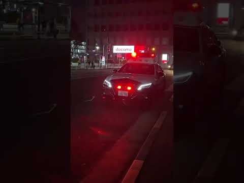 警察　パトカー　夜の警ら祭りをパトロールpolice #警察 #警察24時 #警察官 #shortvideo #short #subscribe #shinjuku #警察車両 #警察庁#緊急車両