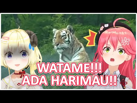 Keseruan WATAME Dan MIKO Saat Pergi Ke Taman Safari Bersama | (Hololive Clips)