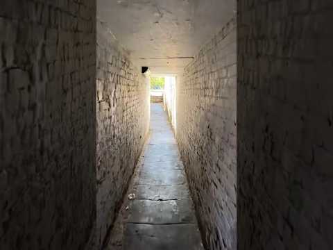 A secret passageway in Islington! #london #londonhistory #secret