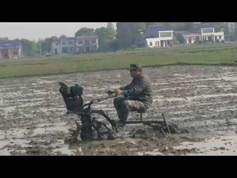 Happy little iron cow rice field tiller weeding rotary tiller