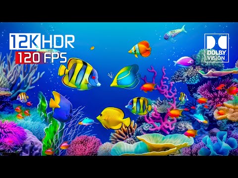 Bold Colors 12K HDR 120 fps Dolby Vision (12K Video) #colors #hdr #8k