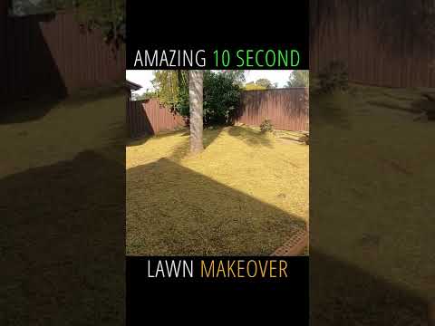 AMAZING 10 Second Lawn Makeover