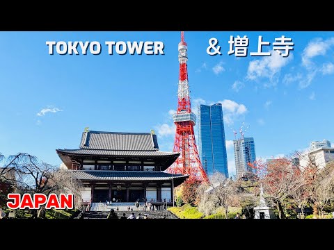 [4K] Tokyo Tower 増上寺を訪れる: Serenity Meets Spectacle | Japan Walking Tour ||