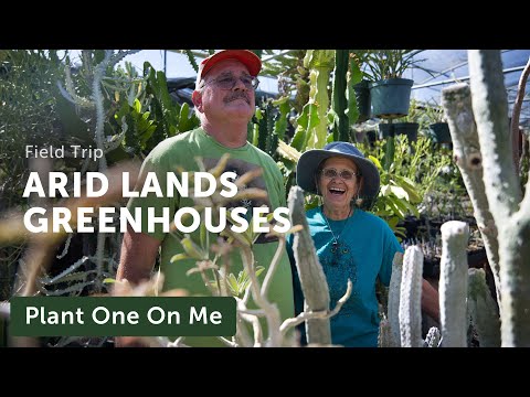 ARID LANDS Greenhouse Cacti & Succulent Tour — Ep. 324