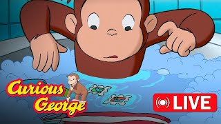 🔴 LIVE! Curious George Full Episodes | George Floods the Building | Kids Cartoon | Videos for Kids