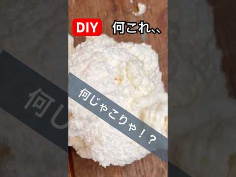 diy何じゃこりゃ、、#diy #なにこれ  #diycrafts