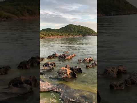 ทะเลสีเขียว (Green Sea at Koh Sichang)