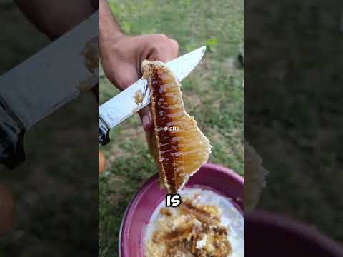 Pure Fresh Honey #Honeycomb #SatisfyingVideo #PureHoney #HoneyCutting #RelaxingVideos #Satisfaction