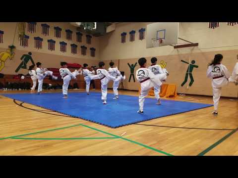 The Korean National Taekwondo Demo Team