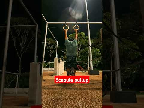 Train your scapula. #fitness #scapula #gym #calisthenics #fatburn