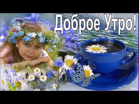 С Добром  Утром!  С Новым Днём!  Красивая Открытка  с  Пожелания Хорошего Дня!