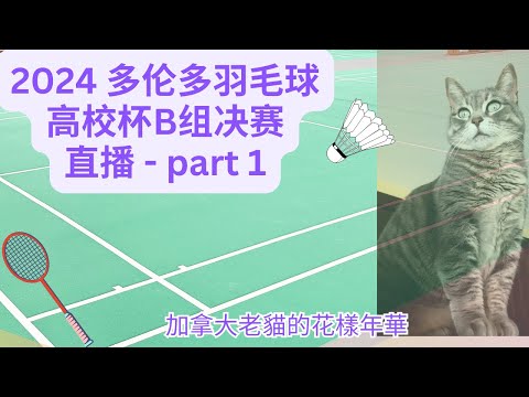 2024高校杯羽毛球赛 B组决赛直播  第一部分 （手机没电后，另外开了第二部分的直播）