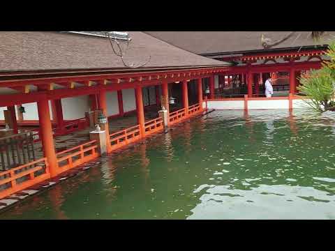 keisannさん 大潮の厳島神社