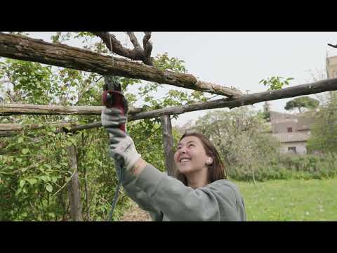 Agroecology Class at SYA Italy