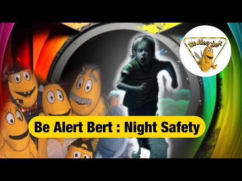 🌙🦉 Nighttime Adventures with Owls and Bees: Ensuring Safety After Dark 🐝🌟