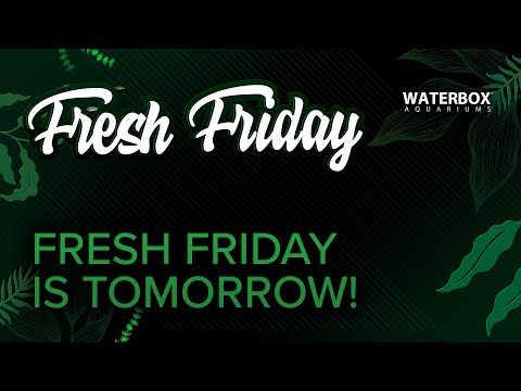 Fresh Friday is Tomorrow!