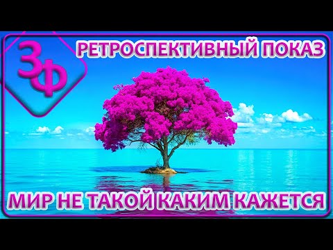 Ретроспектива 11-23 | Мир не такой каким кажется | Истории наших зрителей