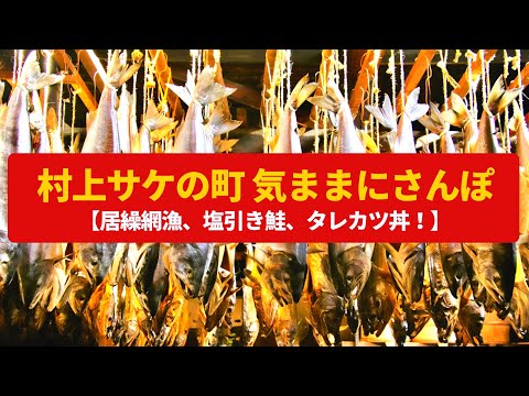 【気ままにさんぽ】村上・サケの町 伝統の漁、珠玉のサケ料理〈居繰網漁、塩引き鮭〉Walk around Murakami Salmon town,NIGATA JAPAN