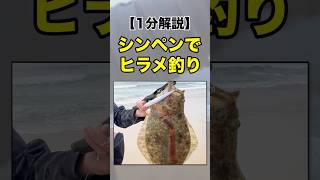 初心者必見！シンペンでヒラメ釣り【1分解説】