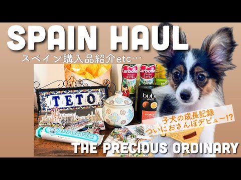 [ ニューヨーク生活VLOG ]スペイン旅行購入品｜ニューヨークで楽しむ日本食｜チーズケーキ作り｜子犬の成長記録 TPO#3