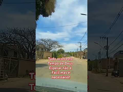 Confia no processo #cortella#motivacional#fe #confiança#shorts#paciência #tempodedeus#proposito