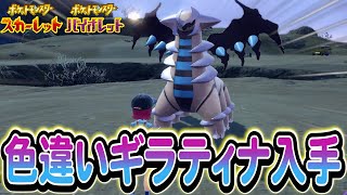 [ポケモンsv]色違いのギラティナをポケモンSVで手に入れよう！さらにZAの最新情報も!?