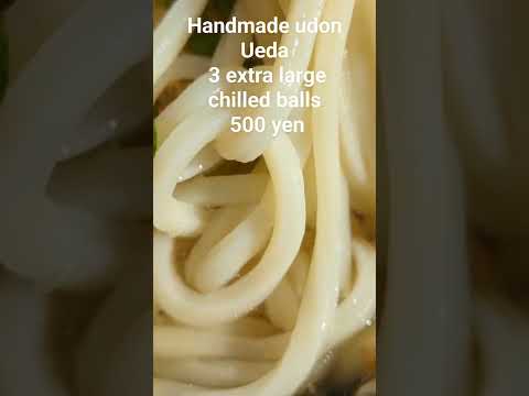 Handmade udon Ueda 3 extra large chilled balls 500 yen