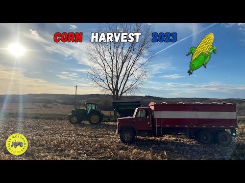 John Deere Harvesting Corn (2023)