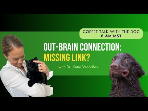 The Gut-Brain Connection: Why It Matters for Your Beloved Pet