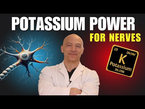 The Surprising Power of Potassium for Nerves! - The Nerve Doctors