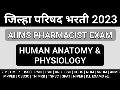 Human Anatomy & Physiology MCQS | Z.P. Pharmacist exam preparation | AIIMS Pharmacist exam paper