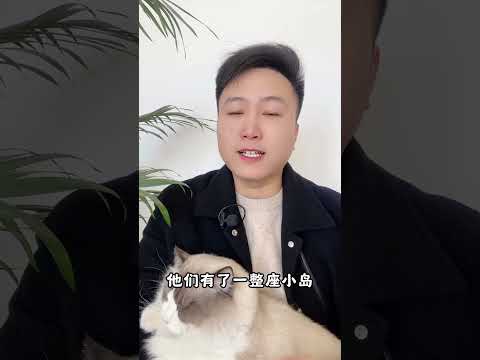 原来真的会有人，为流浪猫 害一座岛？养猫经验分享 养猫人 新手养猫 科学养宠攻略 养猫知识