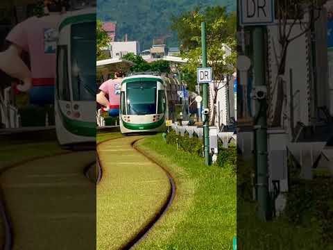 台灣高雄一景：草地輕軌/A scene in Kaohsiung, Taiwan: grassland light rail#台灣#高雄#草地#輕軌#火車#Kaohsiung,#Taiwan