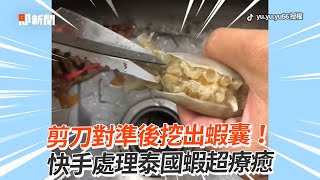 快手處理泰國蝦！剪刀對準挖出蝦囊🦐｜料理教學｜蝦子處理｜美食