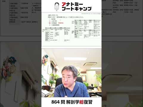 【 #国試1分道場 ・運動器系】腰神経叢の枝によって支配される筋 はどれか　１．梨状筋　２．上双子筋　３．外閉鎖筋　４．大腿筋膜張筋 #かずひろ先生 #解剖学