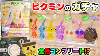 ピクミンのガチャがキターッ！ぐちお、コンプするまで回すんね～！！