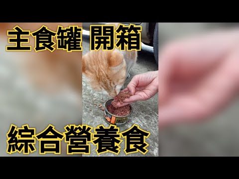 開箱|貓罐頭|綜合營養食主食罐#可愛貓咪 #貓罐頭 #貓主食罐