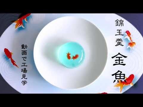 柏屋（動画で工場見学／和菓子が出来上がるまで）「錦玉羹～金魚～」篇