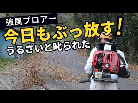 管理道の草刈りと県道7号線の落ち葉を最大級の風力でぶっ飛ばす！